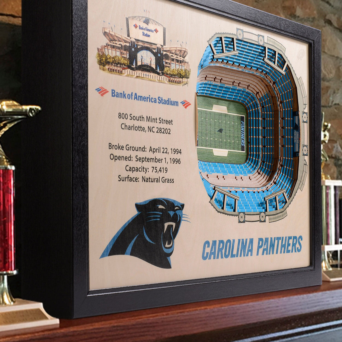 Bank of America Stadium Print, Carolina Panthers Football