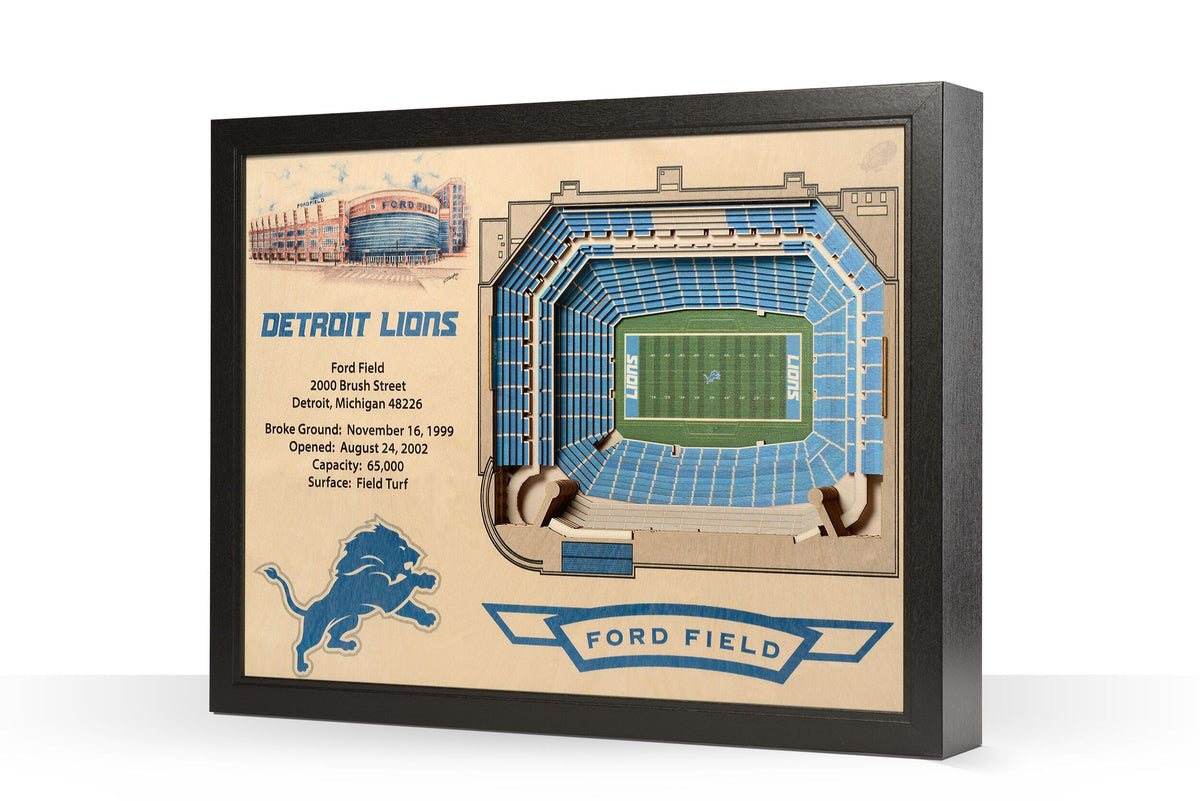 Ford Field - Detroit Lions Art Print