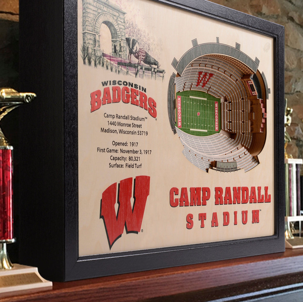 Wisconsin Badgers NCAA high quality CAMP RANDALL STADIUM 100th ANNIVERSARY Wall Art Print!