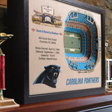 Carolina Panthers | 3D Stadium View | Bank of America Stadium | Wall Art | Wood
