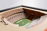 Clemson Tigers | 3D Stadium View | Memorial Stadium | Wall Art | Wood