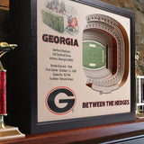 Georgia Bulldogs | 3D Stadium View | Sanford Stadium | Wall Art | Wood