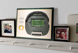 Oregon Ducks | 3D Stadium View | Autzen Stadium | Wall Art | Wood | 5 Layer